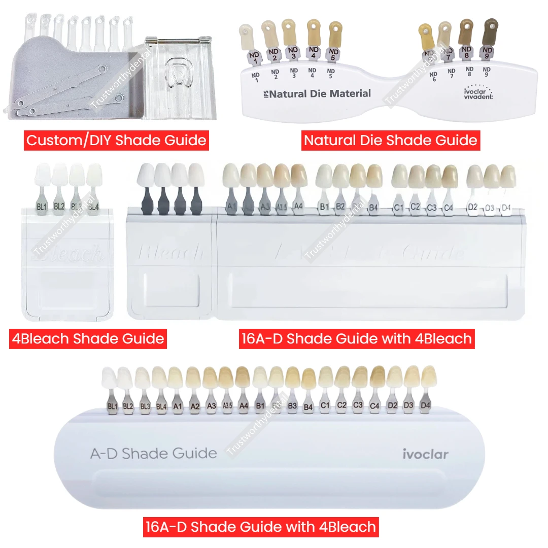 5Types Dental Shade Guide Teeth A-D Shade Guide/4 Bleach Shade/9 Natural Die/DIY Porcelain Colorimetric Plate Based on Vita
5Types Dental Shade Guide Teeth A-D Shade Guide/4 Bleach Shade/9 Natural Die/DIY Porcelain Colorimetric Plate Based on Vita