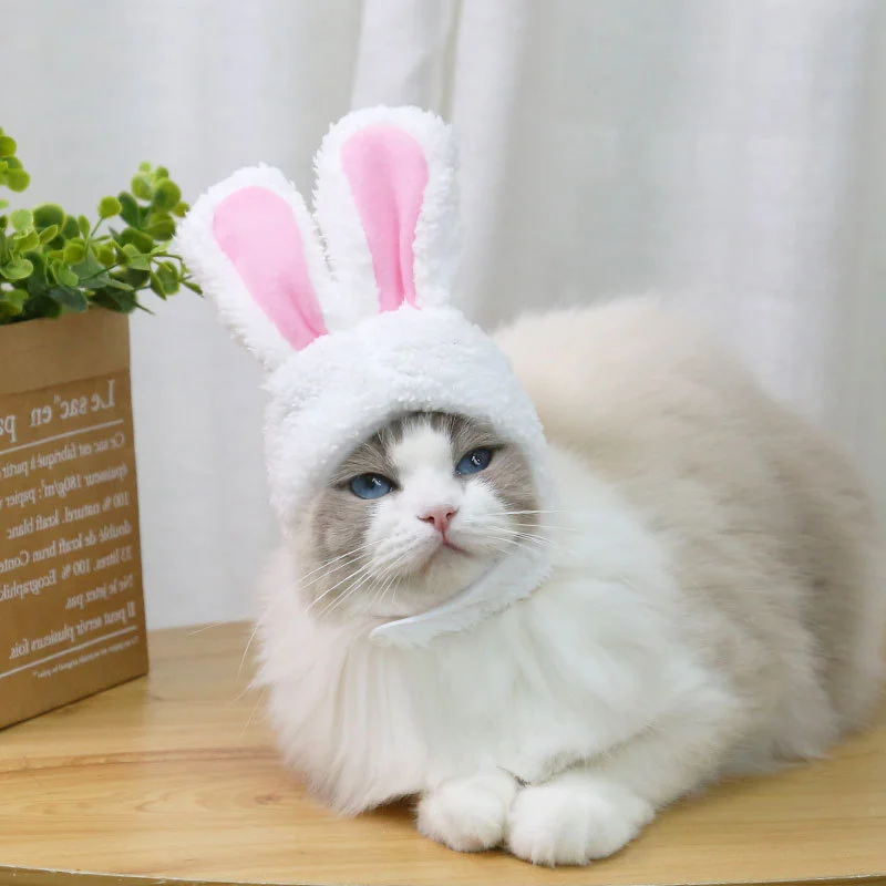 Adjustable Cute Funny Pet Easter Bunny Ear Hat Ornaments for Kitten Puppy Party Cosplay Costume
Adjustable Cute Funny Pet Easter Bunny Ear Hat Ornaments for Kitten Puppy Party Cosplay Costume