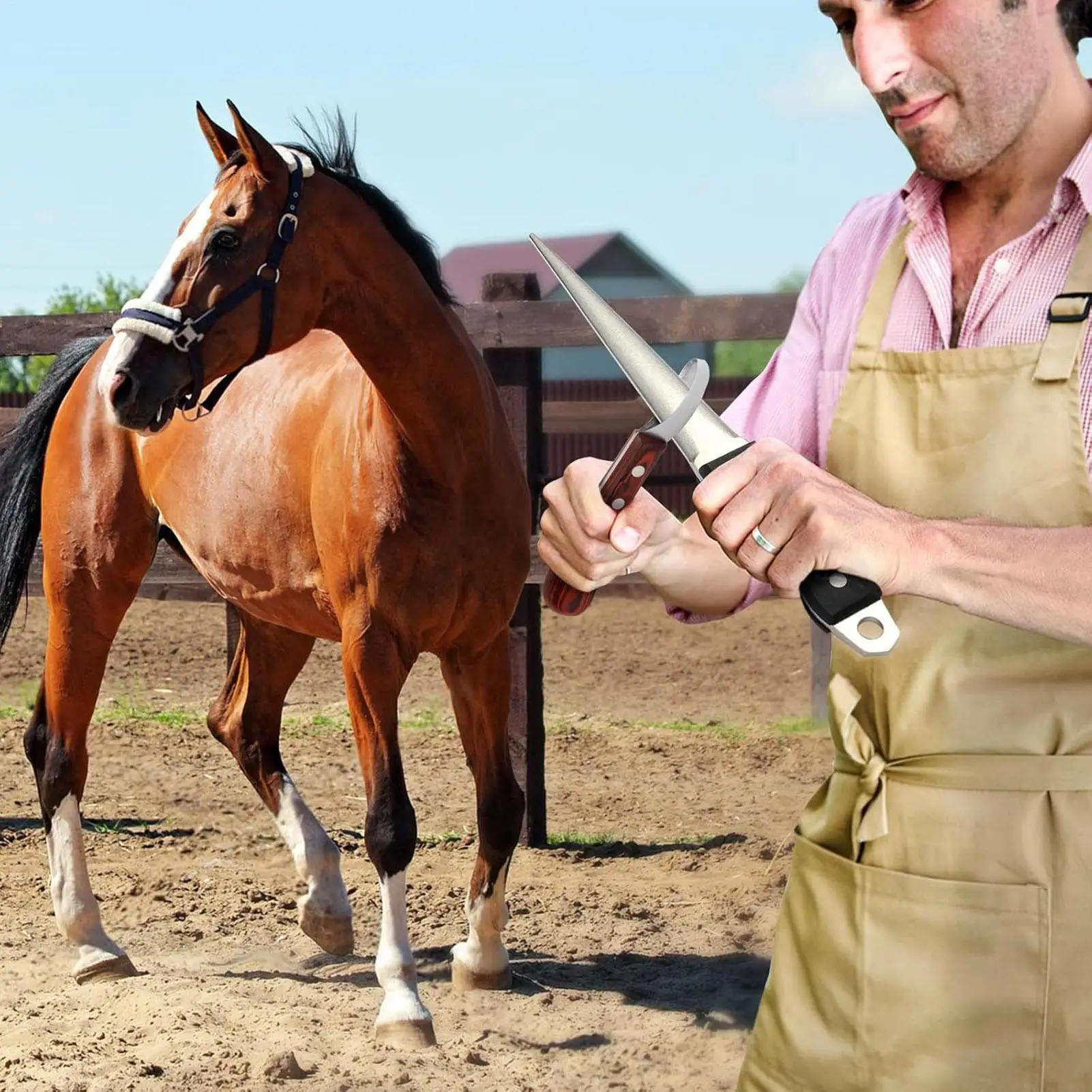 Hoof Sharpener Stick Farrier Honing Stick Farrier Trimming Rod For Backyard Camping Farm Field Garden Lawn Outdoor Ranch Shed
Hoof Sharpener Stick Farrier Honing Stick Farrier Trimming Rod For Backyard Camping Farm Field Garden Lawn Outdoor Ranch Shed