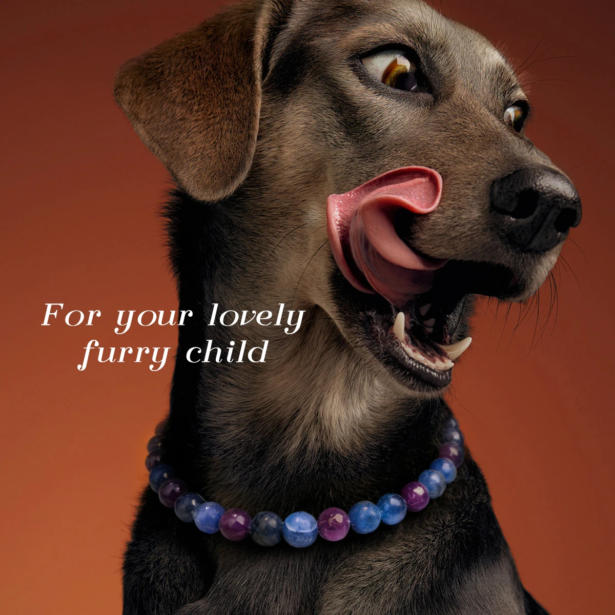 Anxiety-Relief Stress Pet Collar Made with Natural Amethyst Sodalite Cute Pet Accessory Adjustable Size Suitable for Cats Dogs
Anxiety-Relief Stress Pet Collar Made with Natural Amethyst Sodalite Cute Pet Accessory Adjustable Size Suitable for Cats Dogs
