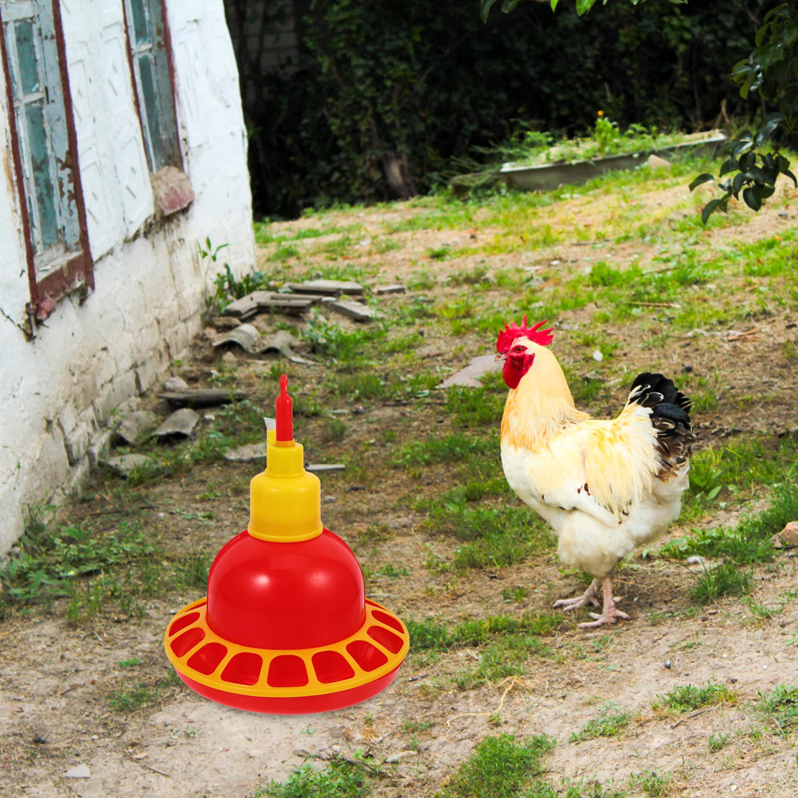Automatic Water Feeder Chicken Drinker Poultry Dispenser Durable Plastic Bird Drinking Bowl for Home Shop Easy Clean
Automatic Water Feeder Chicken Drinker Poultry Dispenser Durable Plastic Bird Drinking Bowl for Home Shop Easy Clean