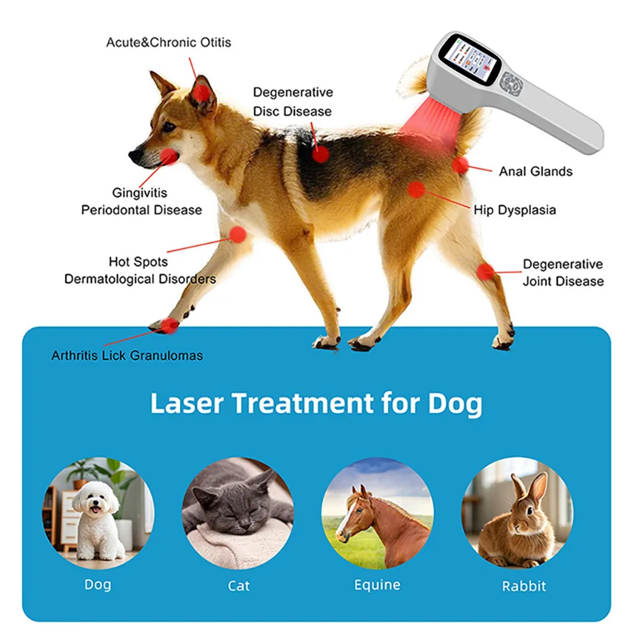 2026 Top Selling Cold Laser Therapy Device for Home Use Class 4 Handheld Red 650nm 808nm 2.5W for Anti Inflammation Pain Relief
2026 Top Selling Cold Laser Therapy Device for Home Use Class 4 Handheld Red 650nm 808nm 2.5W for Anti Inflammation Pain Relief