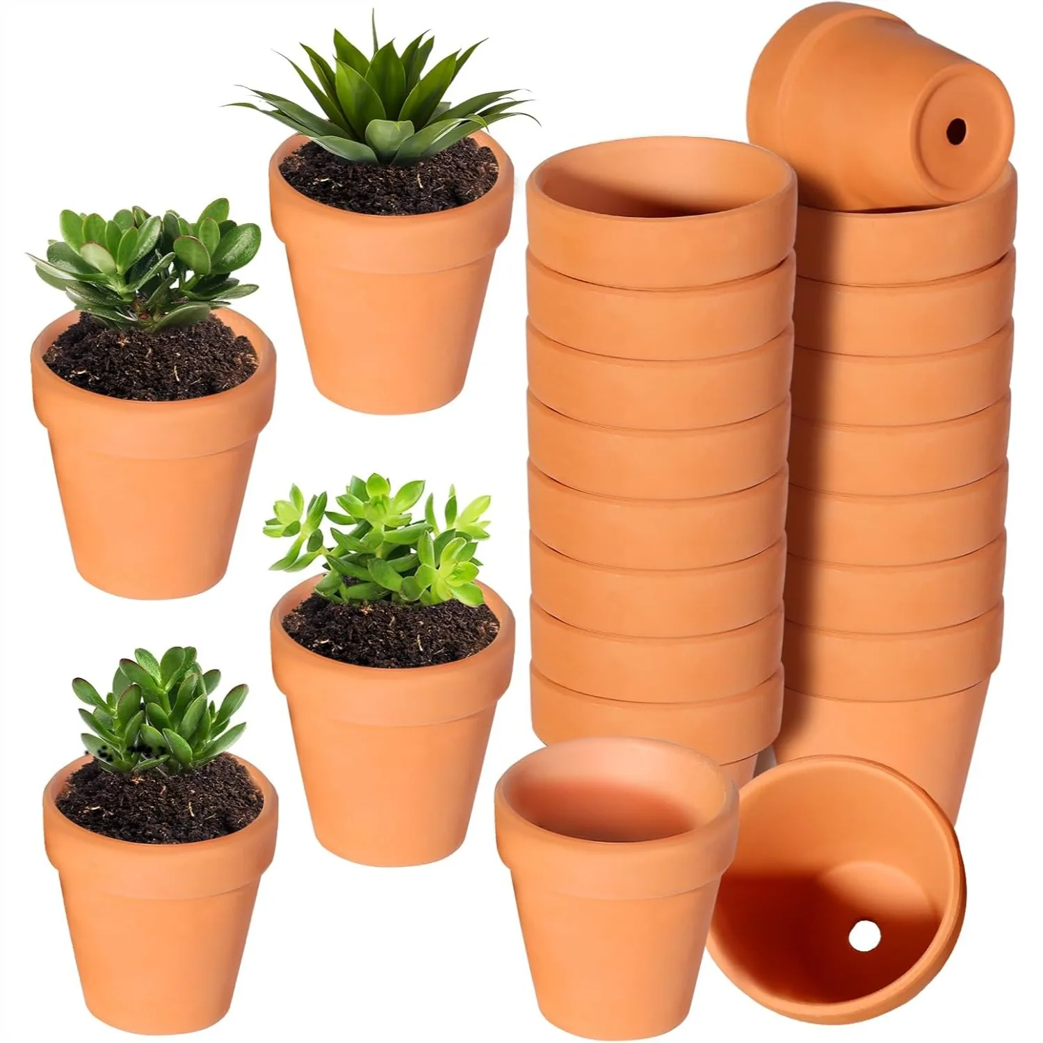 22Pcs 3 Inch Terracotta Pots, Clay Flower Pots with Drainage Hole for Plants Garden Windowsill Indoor Outdoor Wedding Favor
22Pcs 3 Inch Terracotta Pots, Clay Flower Pots with Drainage Hole for Plants Garden Windowsill Indoor Outdoor Wedding Favor