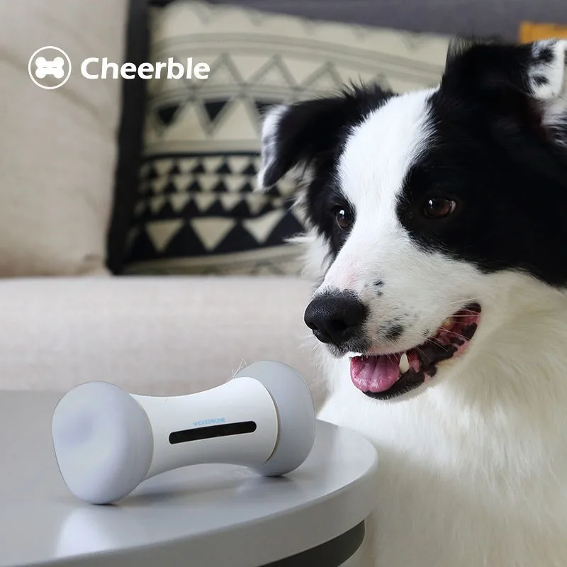 Dogs Toy Crazy Bone Intelligent Pet Toy Remote Charging Puzzle Battery With Large Capacity Suitable For All Day Companionship
Dogs Toy Crazy Bone Intelligent Pet Toy Remote Charging Puzzle Battery With Large Capacity Suitable For All Day Companionship