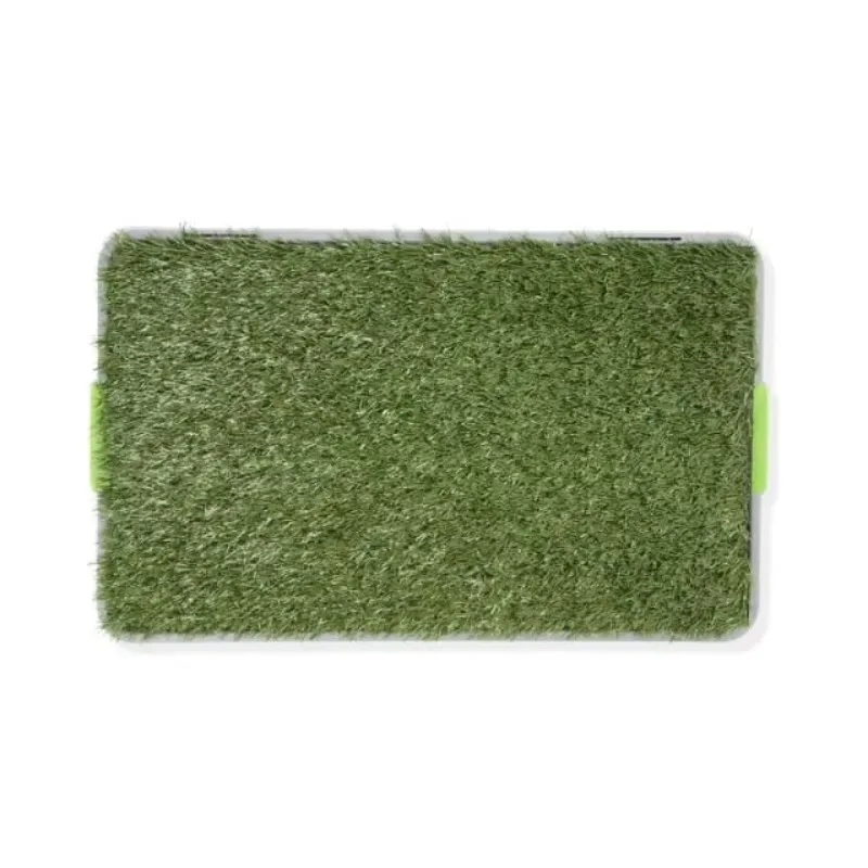 Artificial Grass Dog Potty Pad Large Indoor Puppy Pee Toilet for Easy Training
Artificial Grass Dog Potty Pad Large Indoor Puppy Pee Toilet for Easy Training