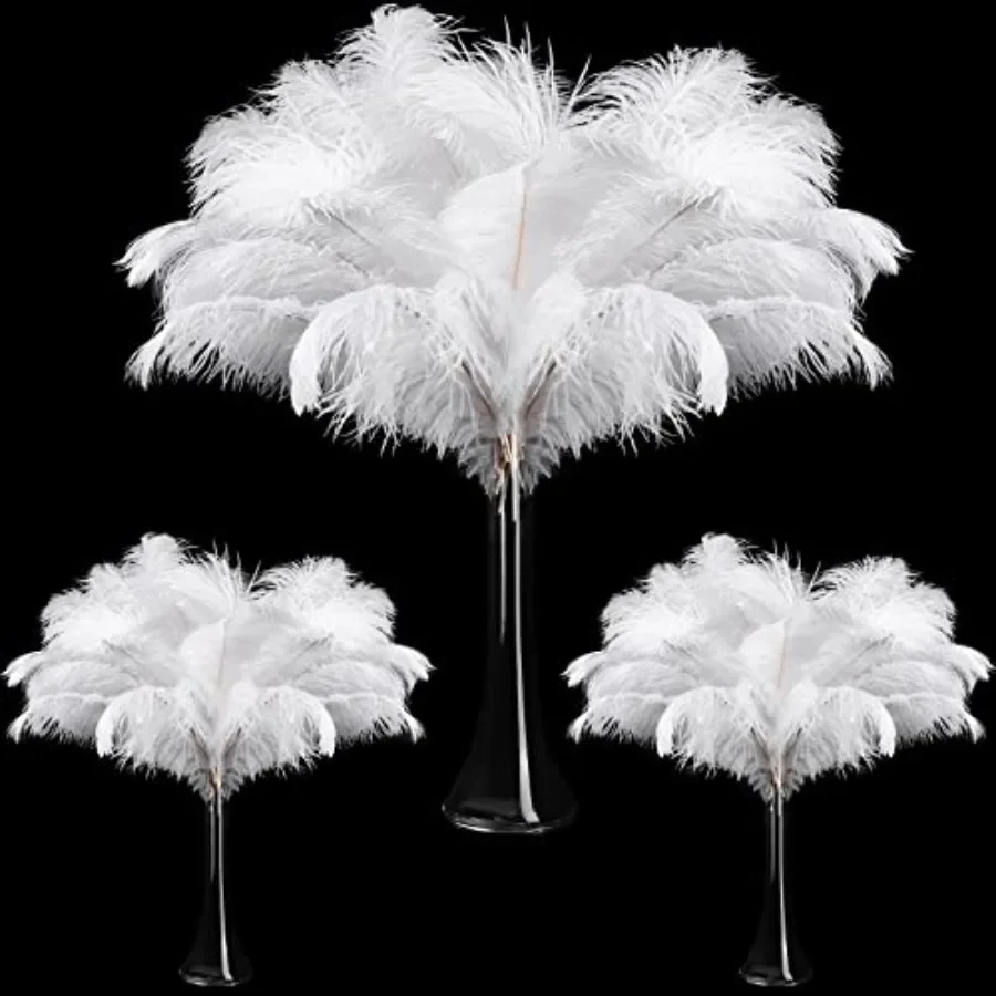 Maitys 90 Pcs Large Natural Ostrich Feathers Bulk 14-16 Inch 35-40cm 12-14 Inch (30-35cm) 10-12 (25-30cm) Ostrich Feathers Plum
Maitys 90 Pcs Large Natural Ostrich Feathers Bulk 14-16 Inch 35-40cm 12-14 Inch (30-35cm) 10-12 (25-30cm) Ostrich Feathers Plum