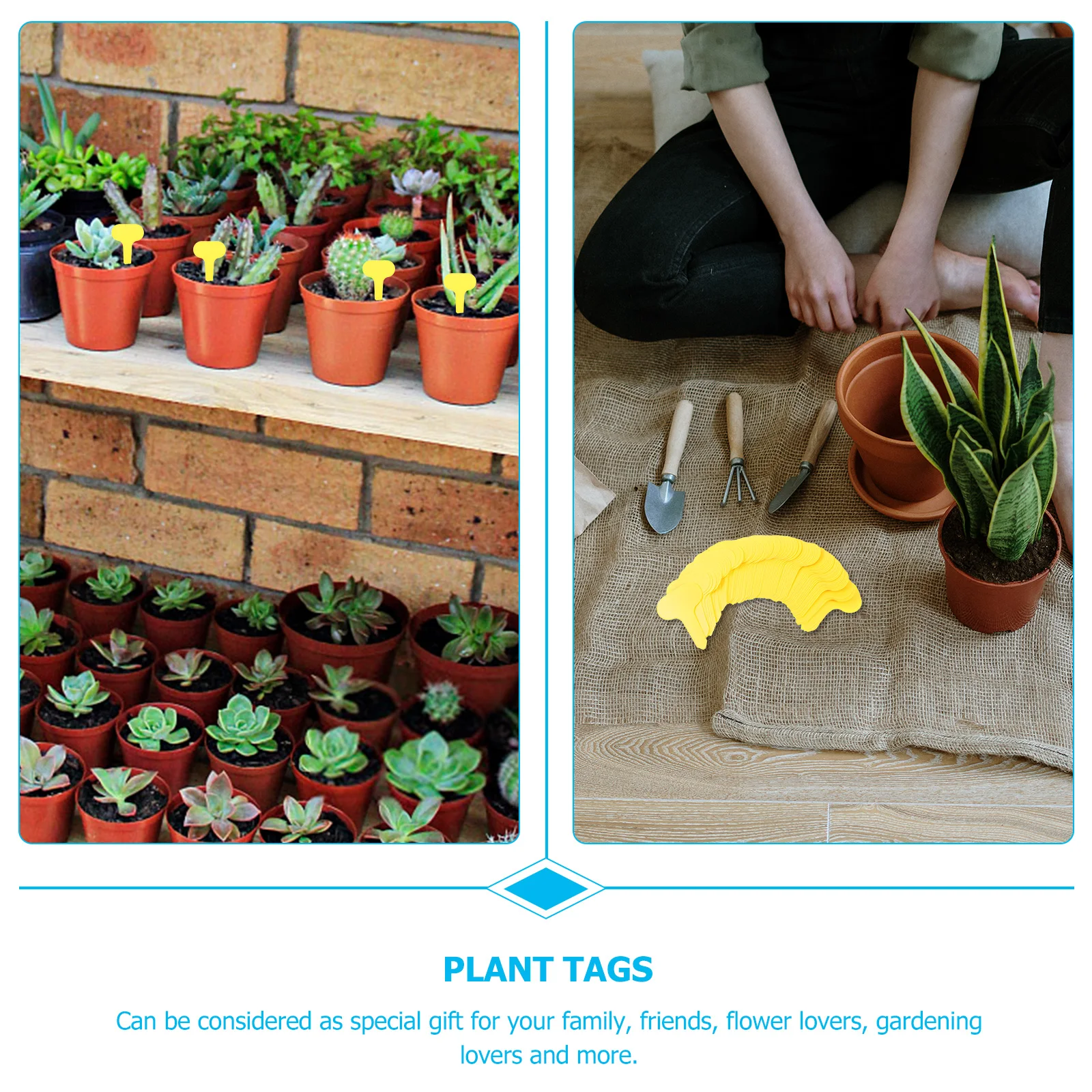 100 Pcs Plant Markers Waterproof for Seedlings Labels Tags Garden Nursery Decorations Durable Plastic Gardening
100 Pcs Plant Markers Waterproof for Seedlings Labels Tags Garden Nursery Decorations Durable Plastic Gardening