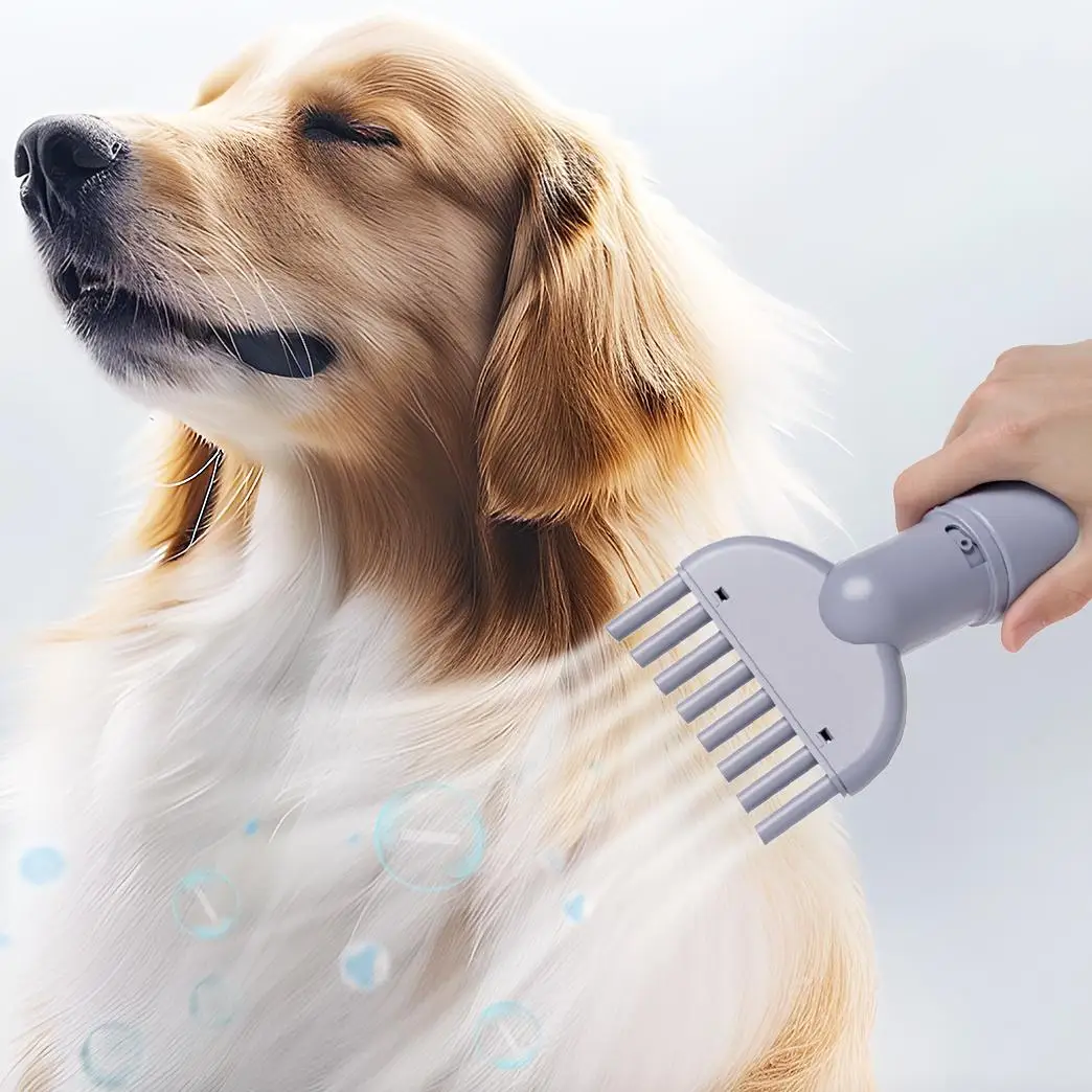 Curve Scissors 2025 Golden with Comb Guides Scissors for Low Noise Trimmer Shaver for Small and Large Dog Brush Grooming Set
Curve Scissors 2025 Golden with Comb Guides Scissors for Low Noise Trimmer Shaver for Small and Large Dog Brush Grooming Set