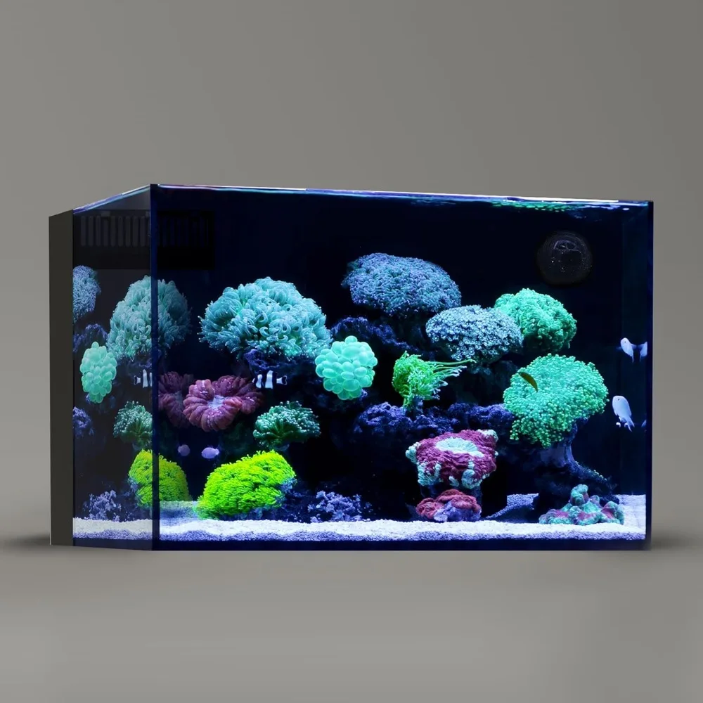 Fish Tanks Ultra Transparent All Glass Frameless Low Iron Aquarium with Rear Filtration Chamber Fish & Aquatic Pet Supplies
Fish Tanks Ultra Transparent All Glass Frameless Low Iron Aquarium with Rear Filtration Chamber Fish & Aquatic Pet Supplies