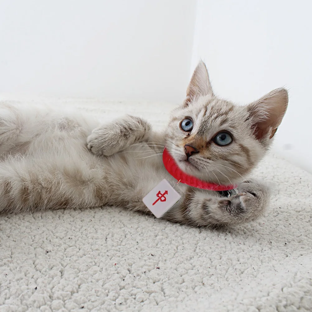 Knitting Kitten Collar Adjustable Pet Winter Scarf Durable Comfortable Neckwear for Small Cats and Dogs Fancy Cat Collar
Knitting Kitten Collar Adjustable Pet Winter Scarf Durable Comfortable Neckwear for Small Cats and Dogs Fancy Cat Collar