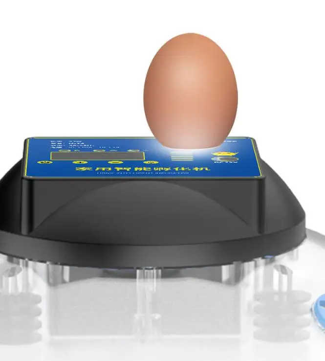 HOT 9/12/16/24/36/48 cps Incubator household incubator Smart parrot bird egg incubator LCD display 12V/240V
HOT 9/12/16/24/36/48 cps Incubator household incubator Smart parrot bird egg incubator LCD display 12V/240V