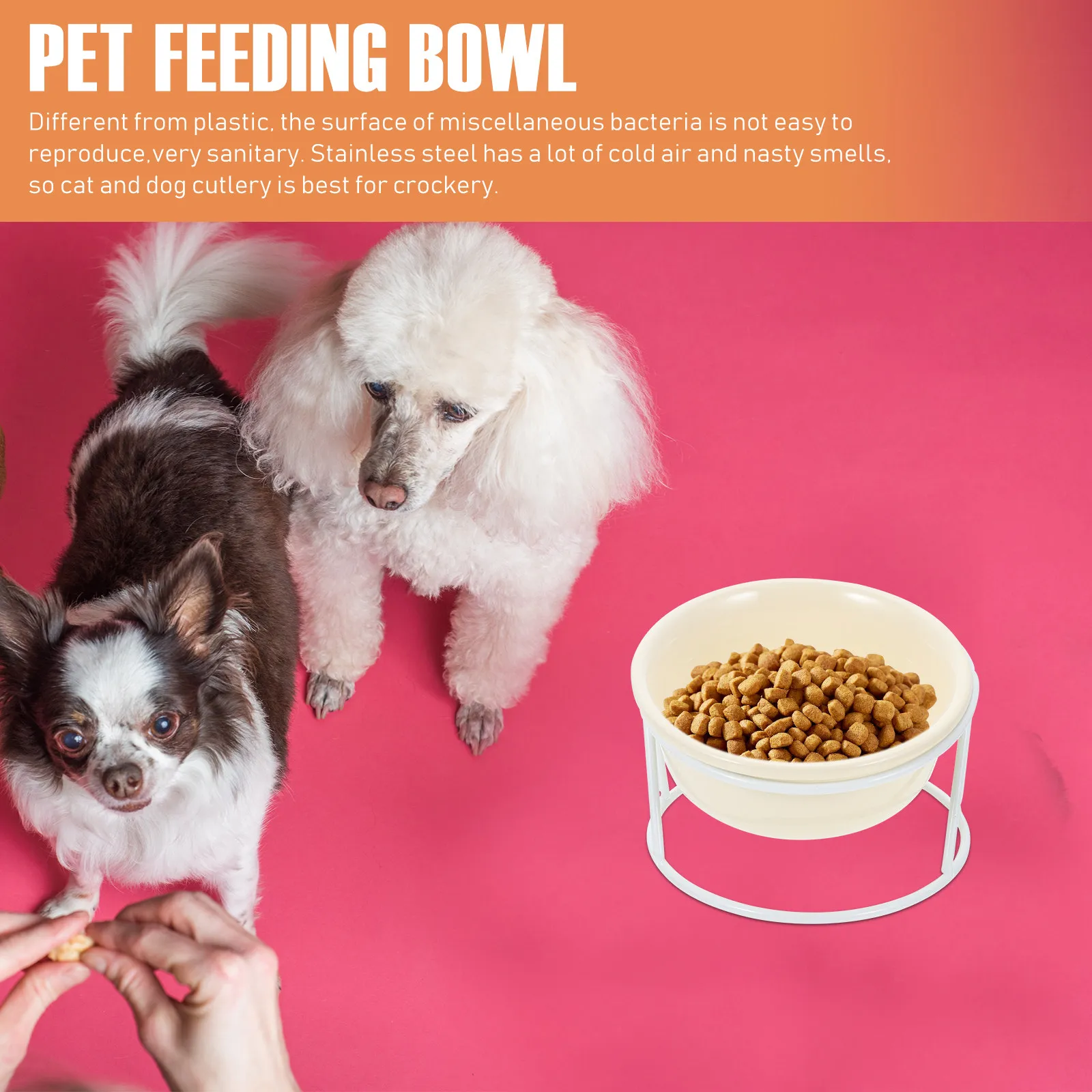 1Set Premium Ceramic Elevated Cat Bowl for Easy Cleaning Smooth Surface Stable Base Pet Feeding Bowl Cat Dog Food Water
1Set Premium Ceramic Elevated Cat Bowl for Easy Cleaning Smooth Surface Stable Base Pet Feeding Bowl Cat Dog Food Water