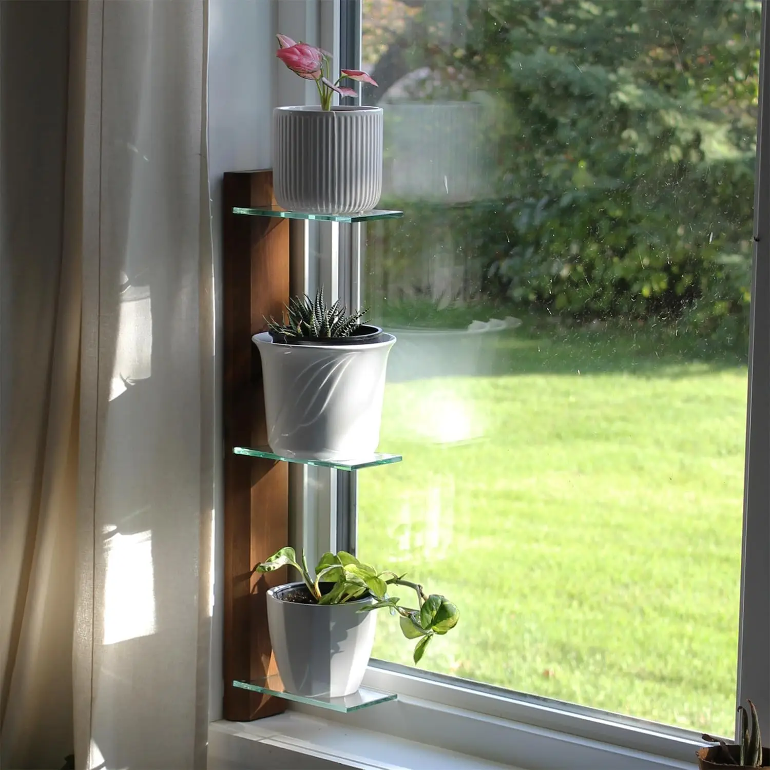 3-Tiered Window Sill Plant Shelf Real Wood And Glass Renter Friendly Removable Indoor Plant Stand
3-Tiered Window Sill Plant Shelf Real Wood And Glass Renter Friendly Removable Indoor Plant Stand