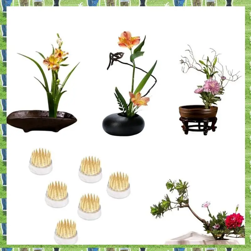 FTS Flower Frogs Kit For Arrangements Holder Flower Frog Brass Pin Frog Set For Classroom Teaching, Home, Office (0.9 Inch 24 Pc 
FTS Flower Frogs Kit For Arrangements Holder Flower Frog Brass Pin Frog Set For Classroom Teaching, Home, Office (0.9 Inch 24 Pc