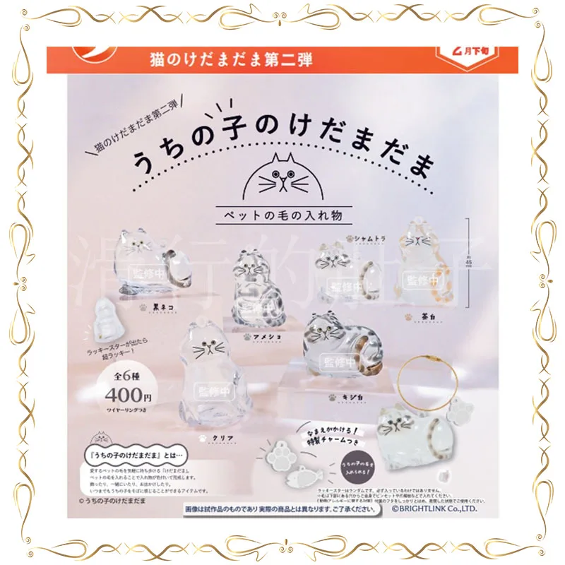 Gashapon Transparent Kitten Kawaii Decoration Ornament Collectible Model Toy
Gashapon Transparent Kitten Kawaii Decoration Ornament Collectible Model Toy