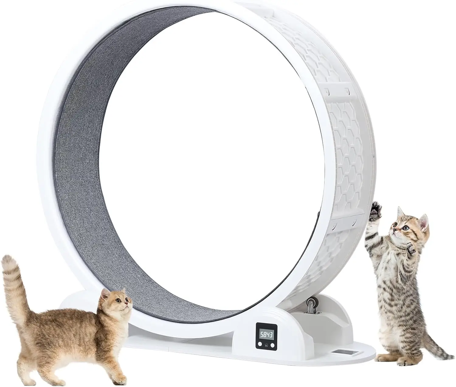 High Quality 41 Inch Large Cat Wheel Running Treadmill Cat Exercise Pet Fitness Toys Wheel Pedometer to Lose Weight
High Quality 41 Inch Large Cat Wheel Running Treadmill Cat Exercise Pet Fitness Toys Wheel Pedometer to Lose Weight