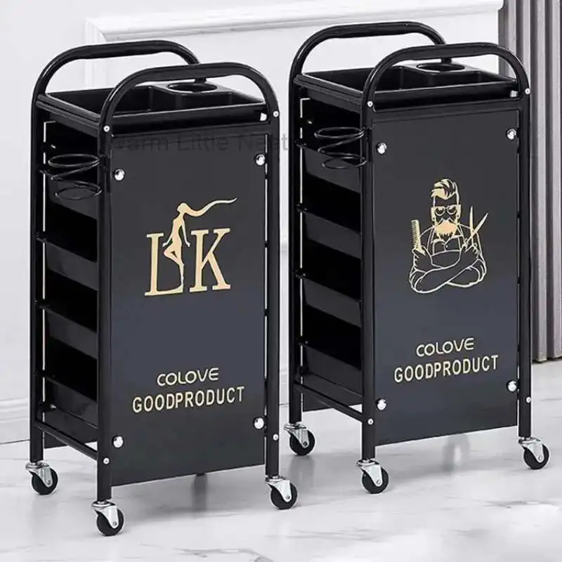 Trolley for Hairdresser Barberia Multi-purpose Organizer Professional Hairdressing Trolley To Transport Things Barber Furniture
Trolley for Hairdresser Barberia Multi-purpose Organizer Professional Hairdressing Trolley To Transport Things Barber Furniture