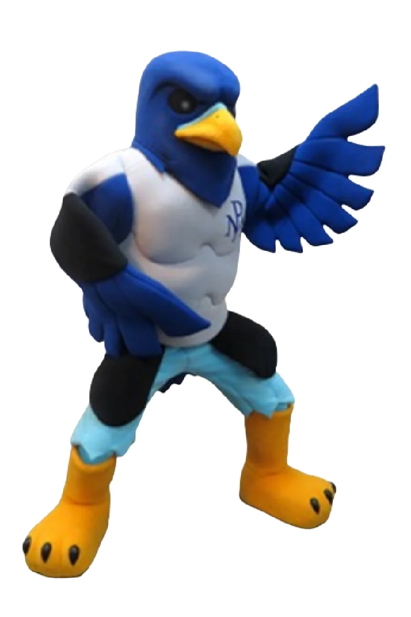 meridian falcon mascot costume eagle hawk custom fancy costume anime cosplay kit mascotte theme fancy dress carnival costume0108
meridian falcon mascot costume eagle hawk custom fancy costume anime cosplay kit mascotte theme fancy dress carnival costume0108