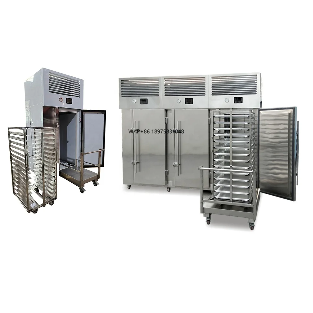 High Quality Blast Freezer Small Iqf Freezer for Sale
High Quality Blast Freezer Small Iqf Freezer for Sale