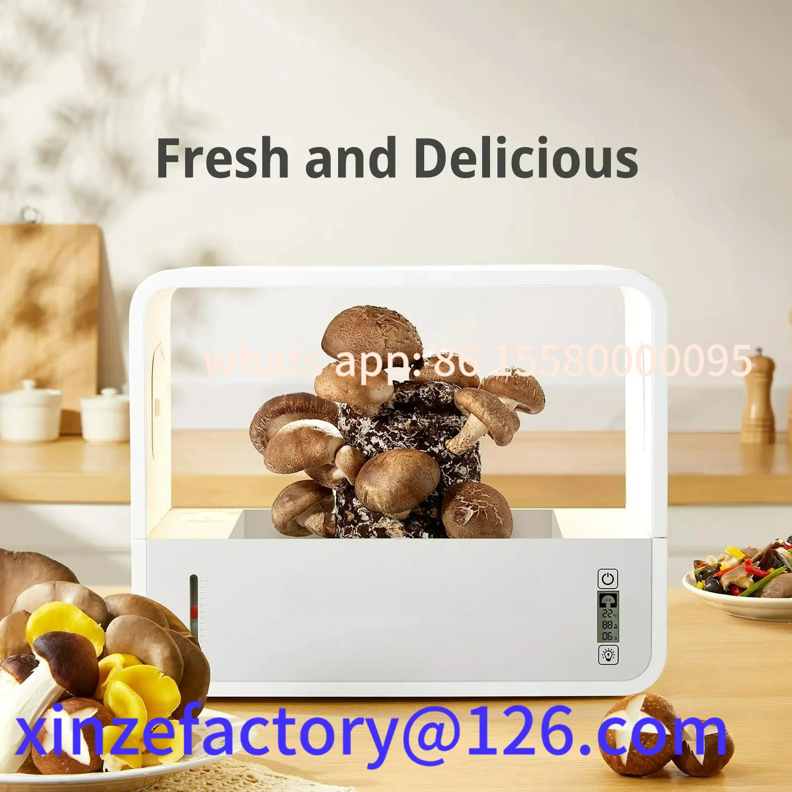 Customizable Mushrooms Growing System Circulating Smart Monotub Fruiting Chamber Supplies Garden
Customizable Mushrooms Growing System Circulating Smart Monotub Fruiting Chamber Supplies Garden