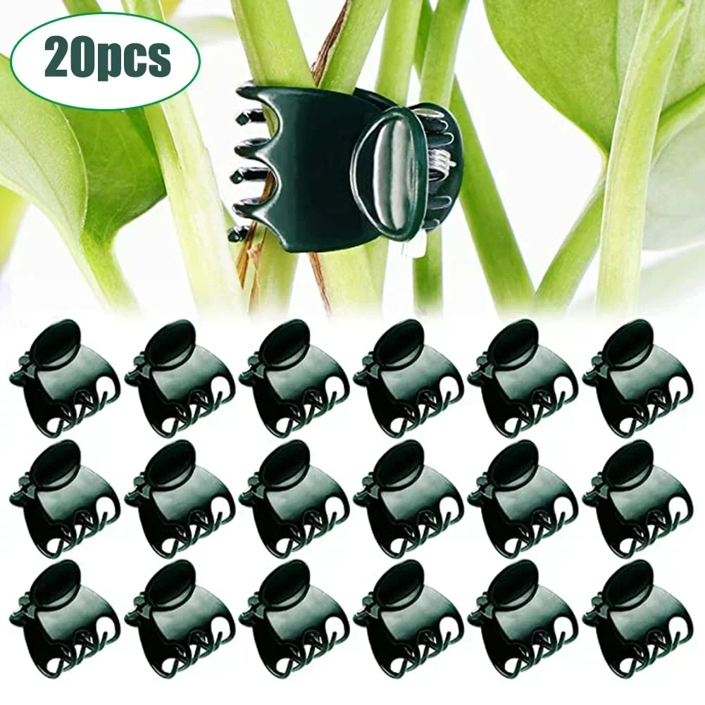 Garden Tool Vine Fixing Clip Garden Plant Clips Garden Plant Support Clips Orchid Clip Gardening Plant Support
Garden Tool Vine Fixing Clip Garden Plant Clips Garden Plant Support Clips Orchid Clip Gardening Plant Support