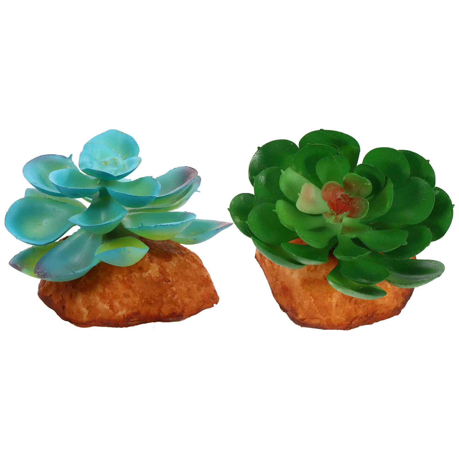 2Pcs Reptile Tank Plant Decoration Realistic Shape Terrarium Reptile Decor Ornament Terrarium Decor Artificial Plant
2Pcs Reptile Tank Plant Decoration Realistic Shape Terrarium Reptile Decor Ornament Terrarium Decor Artificial Plant