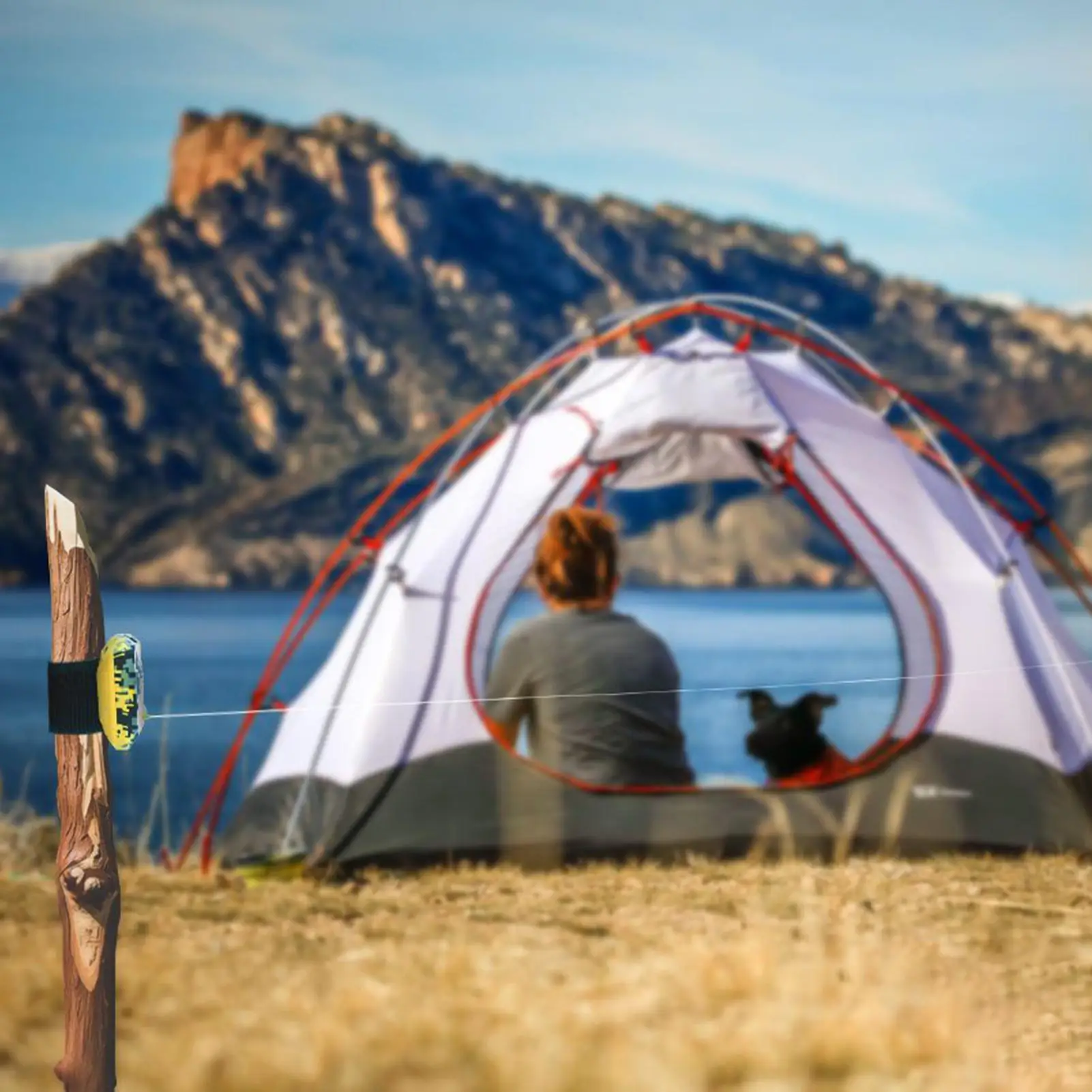 Сигнализация по периметру 120 дБ Водонепроницаемая сигнализация личной безопасности Сирены безопасности для защиты имущества Путешествия Кемпинг Туризм Рыбалка
Сигнализация по периметру 120 дБ Водонепроницаемая сигнализация личной безопасности Сирены безопасности для защиты имущества Путешествия Кемпинг Туризм Рыбалка