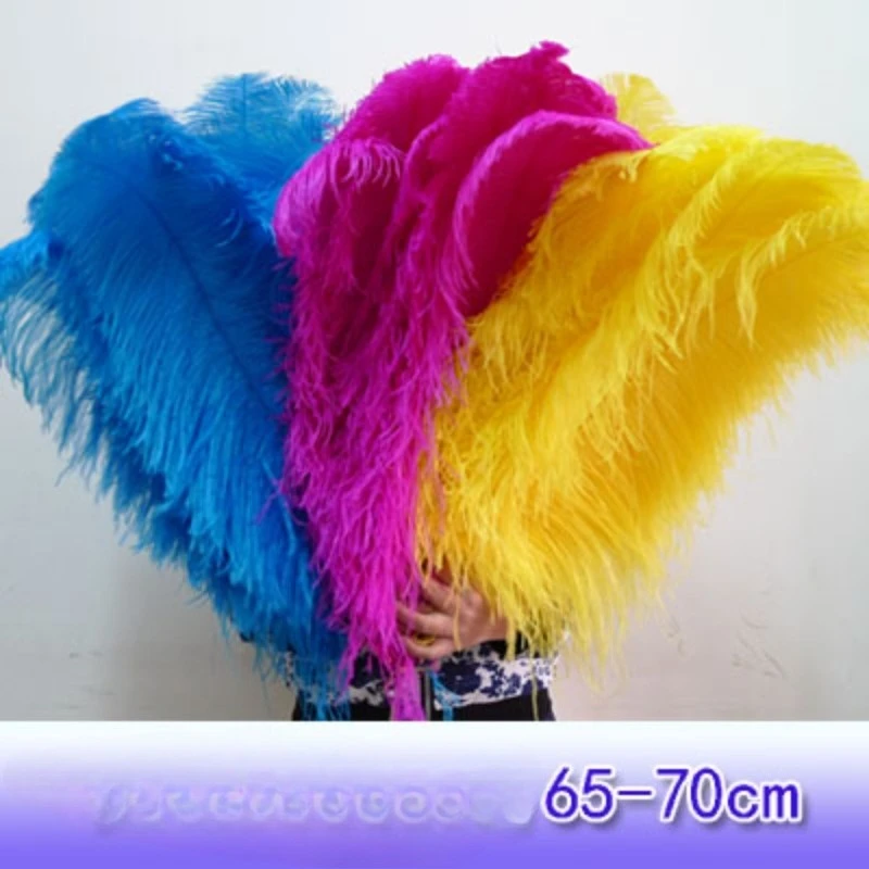 customized 65-70cm thick ostrich feather wedding decoration guide ornaments home soft decoration accessories performance props
customized 65-70cm thick ostrich feather wedding decoration guide ornaments home soft decoration accessories performance props