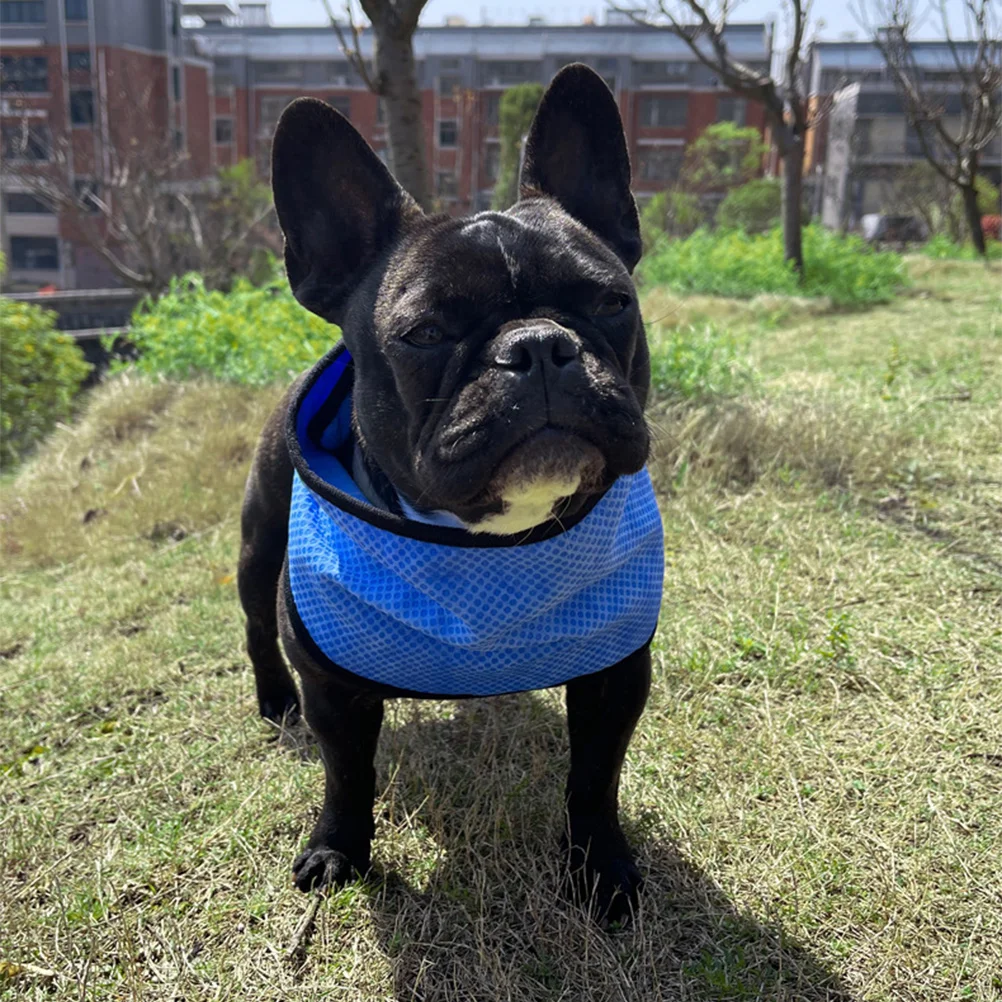 Pet Cool Scarf Pets Cooling Collar Puppy Summer Water Proof Dog Bandana Pva Supply
Pet Cool Scarf Pets Cooling Collar Puppy Summer Water Proof Dog Bandana Pva Supply