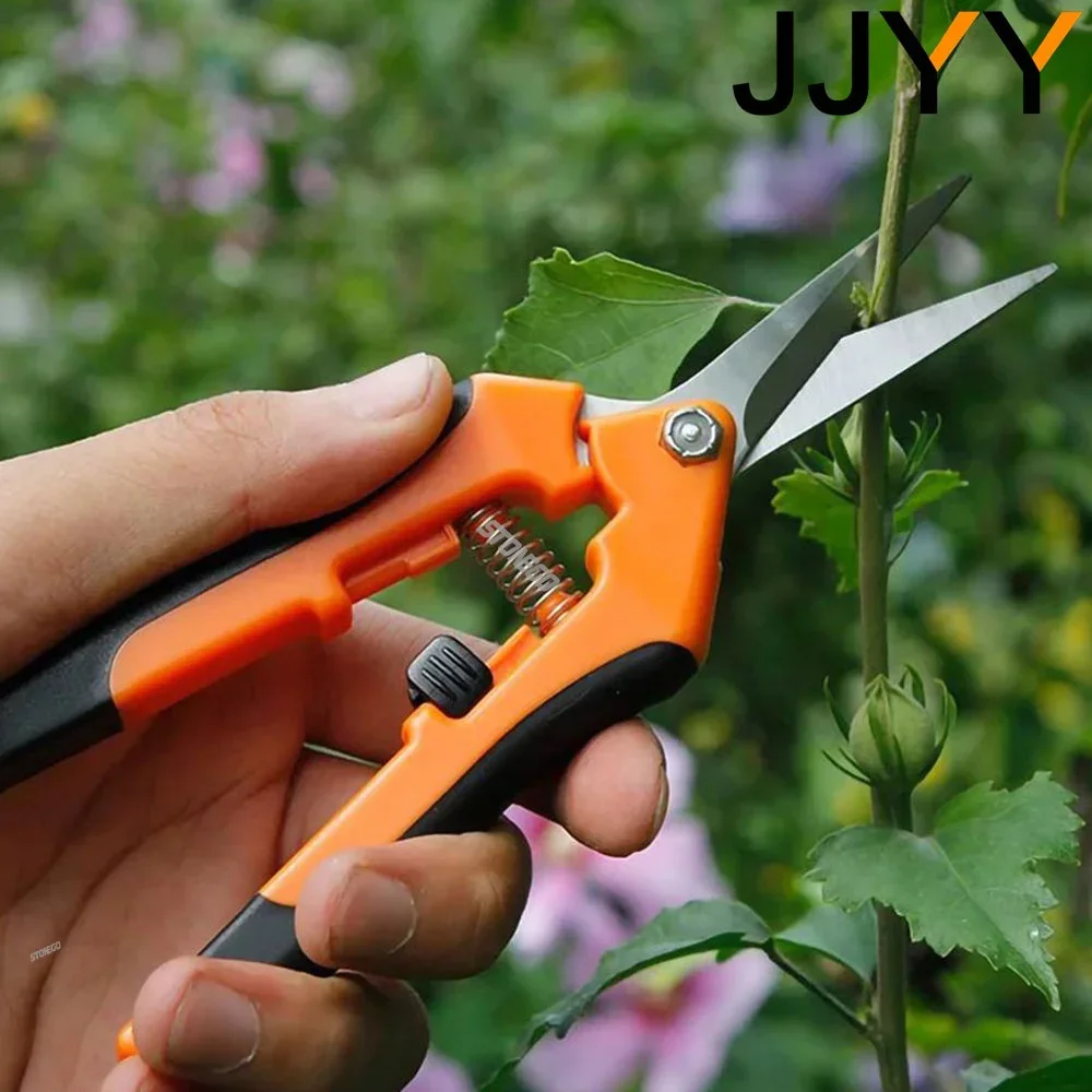 JJYY Portable Garden Stainless Pruning Shears Fruit Picking Scissors Household Potted Trim Branches Small Gardening Tools
JJYY Portable Garden Stainless Pruning Shears Fruit Picking Scissors Household Potted Trim Branches Small Gardening Tools