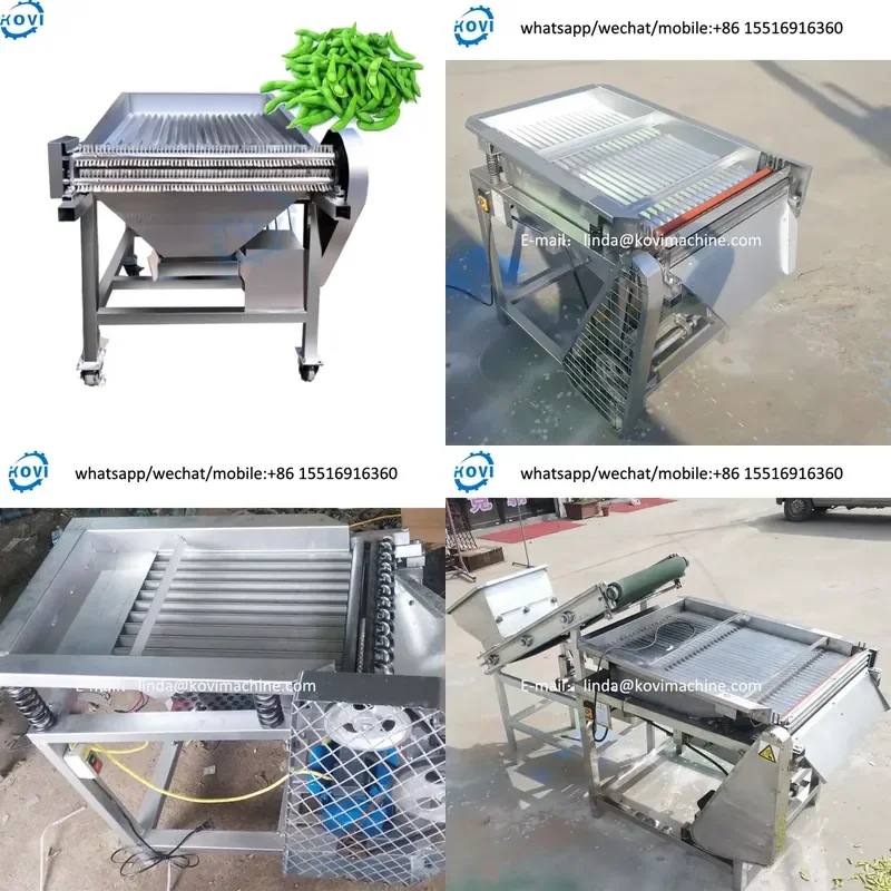 2026 100kg Edamame Peeler Machine French Green Bean Peas Shelling Machine Price
2026 100kg Edamame Peeler Machine French Green Bean Peas Shelling Machine Price