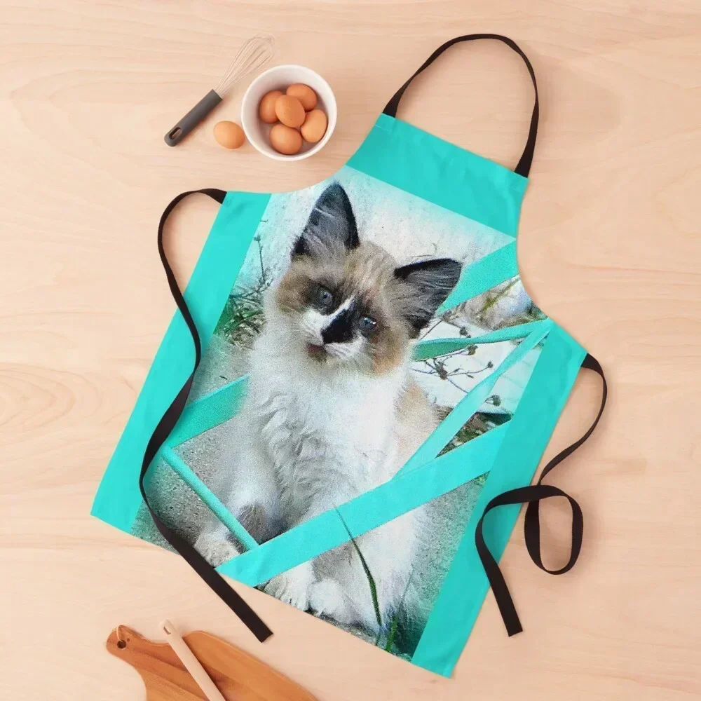 Harlequin cat Apron Home and kitchen products painters Kitchen Special Accessories Kitchen Items For Home Apron
Harlequin cat Apron Home and kitchen products painters Kitchen Special Accessories Kitchen Items For Home Apron