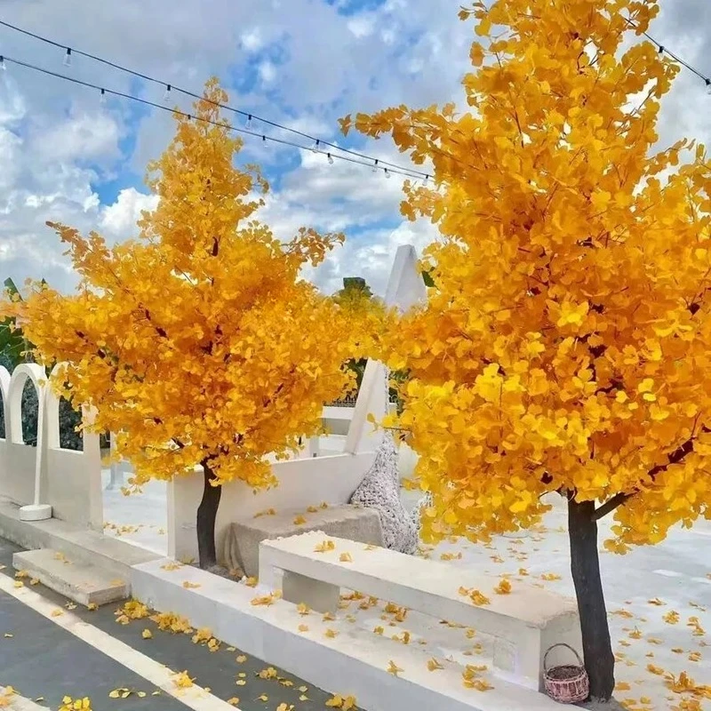 Simulation Ginkgo Large Fake Trees Green Plant Autumn Art Gallery Exhibition Display Show Window Decoration Landscape Decoration
Simulation Ginkgo Large Fake Trees Green Plant Autumn Art Gallery Exhibition Display Show Window Decoration Landscape Decoration