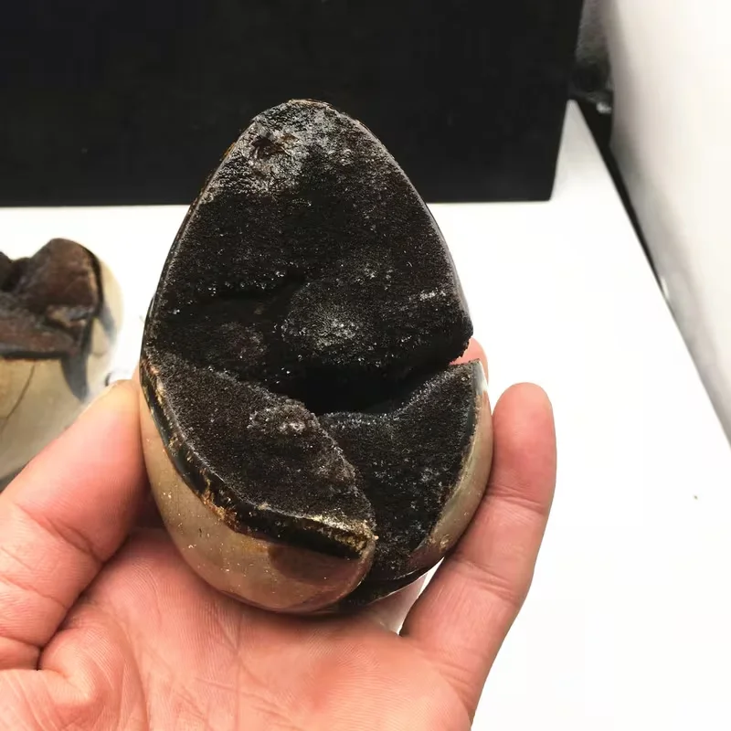 A high-quality 300-500g turtle shell stone egg, a leisure crystal suitable for home decoration and educational display, perfect
A high-quality 300-500g turtle shell stone egg, a leisure crystal suitable for home decoration and educational display, perfect