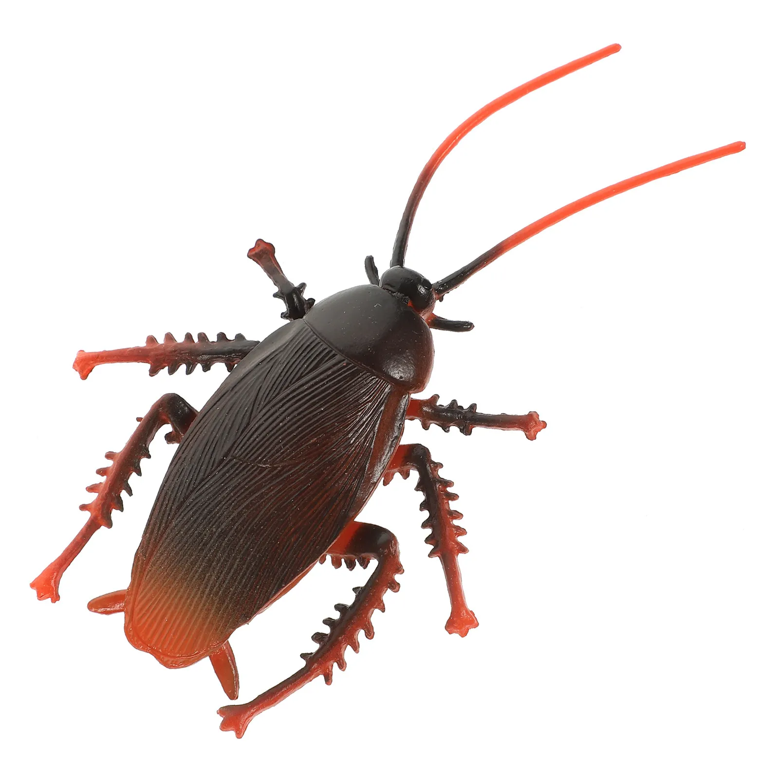Lifelike Fake Cockroach Simulation Halloween Party Prank Prop Realistic Scary Trick Joke Decor Faux Bug Fake Party Prop
Lifelike Fake Cockroach Simulation Halloween Party Prank Prop Realistic Scary Trick Joke Decor Faux Bug Fake Party Prop
