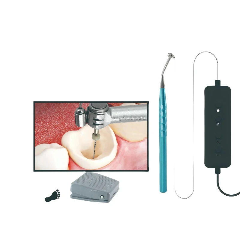 High Quality Electric Intra Digital Micro Observation Instrument Wholesale Oral Accessory
High Quality Electric Intra Digital Micro Observation Instrument Wholesale Oral Accessory