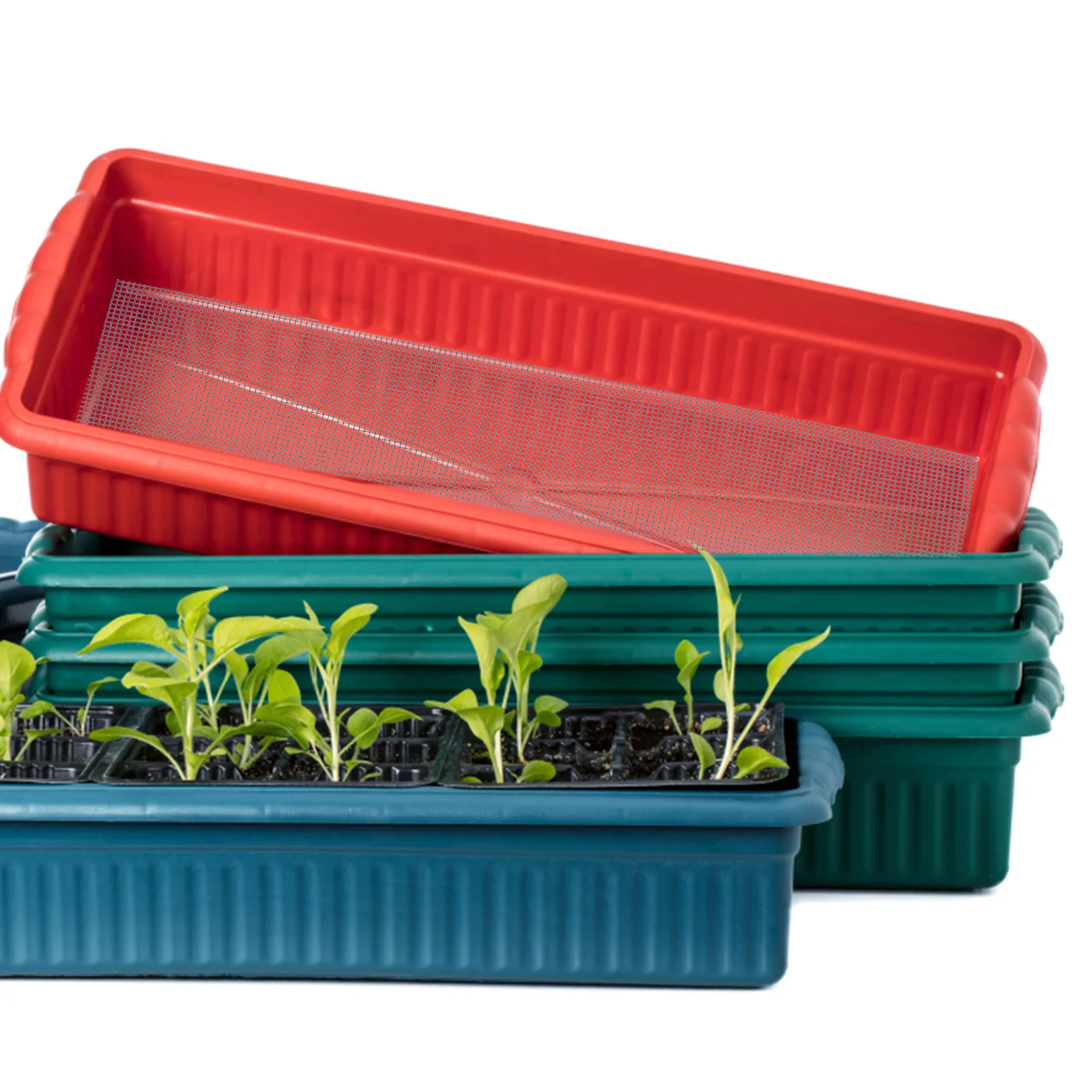 5 Pcs 20x30cm Grey Planter Hole Mesh Mat Anti-spraying Net Pad for Flowerpot Bottom Drain Holes Soil Prevention Air Permeability
5 Pcs 20x30cm Grey Planter Hole Mesh Mat Anti-spraying Net Pad for Flowerpot Bottom Drain Holes Soil Prevention Air Permeability