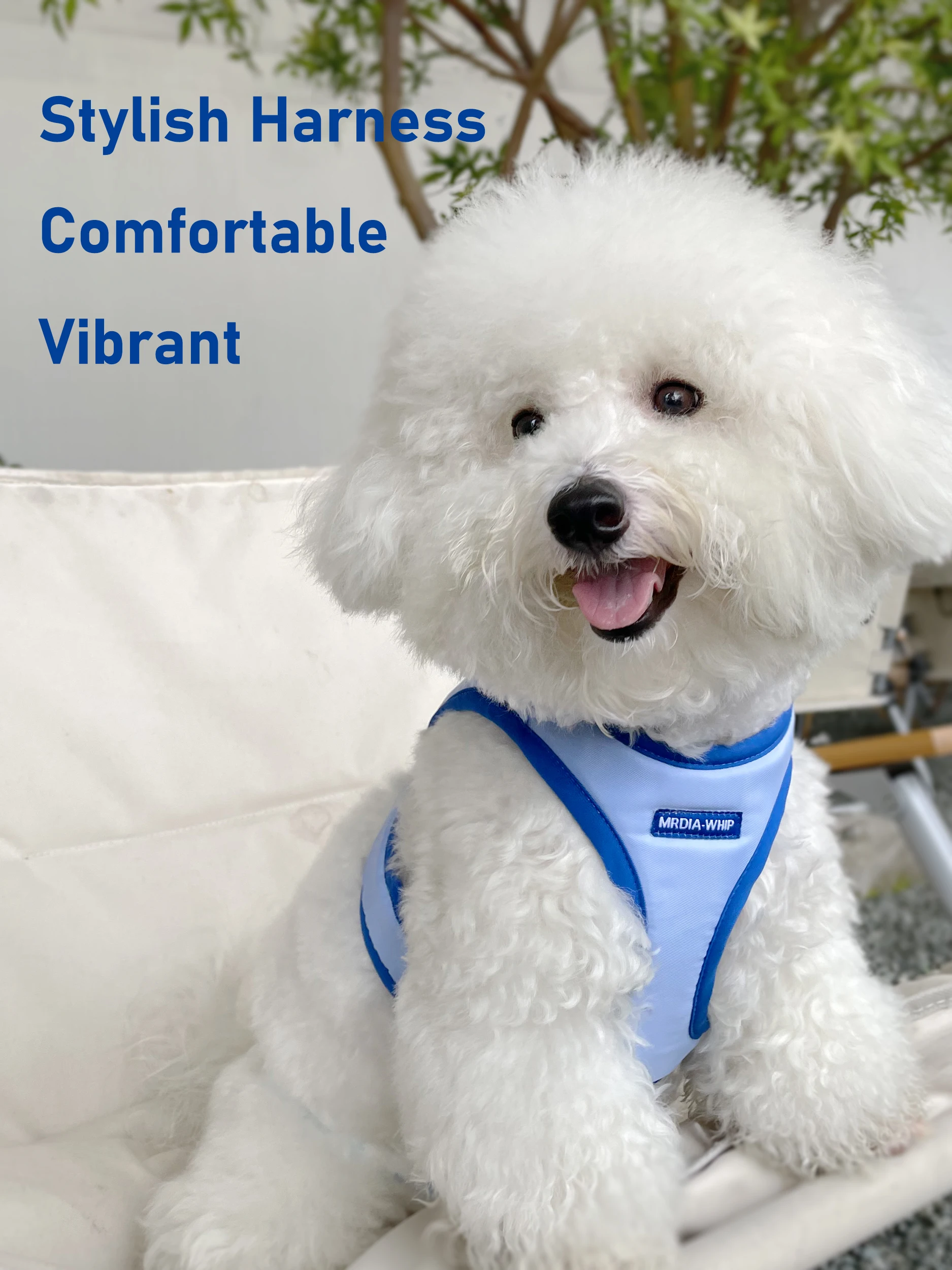 dog vest harness medium to small dog I-beam Bichon dog walking rope cat leash pet collar dog chain leash
dog vest harness medium to small dog I-beam Bichon dog walking rope cat leash pet collar dog chain leash