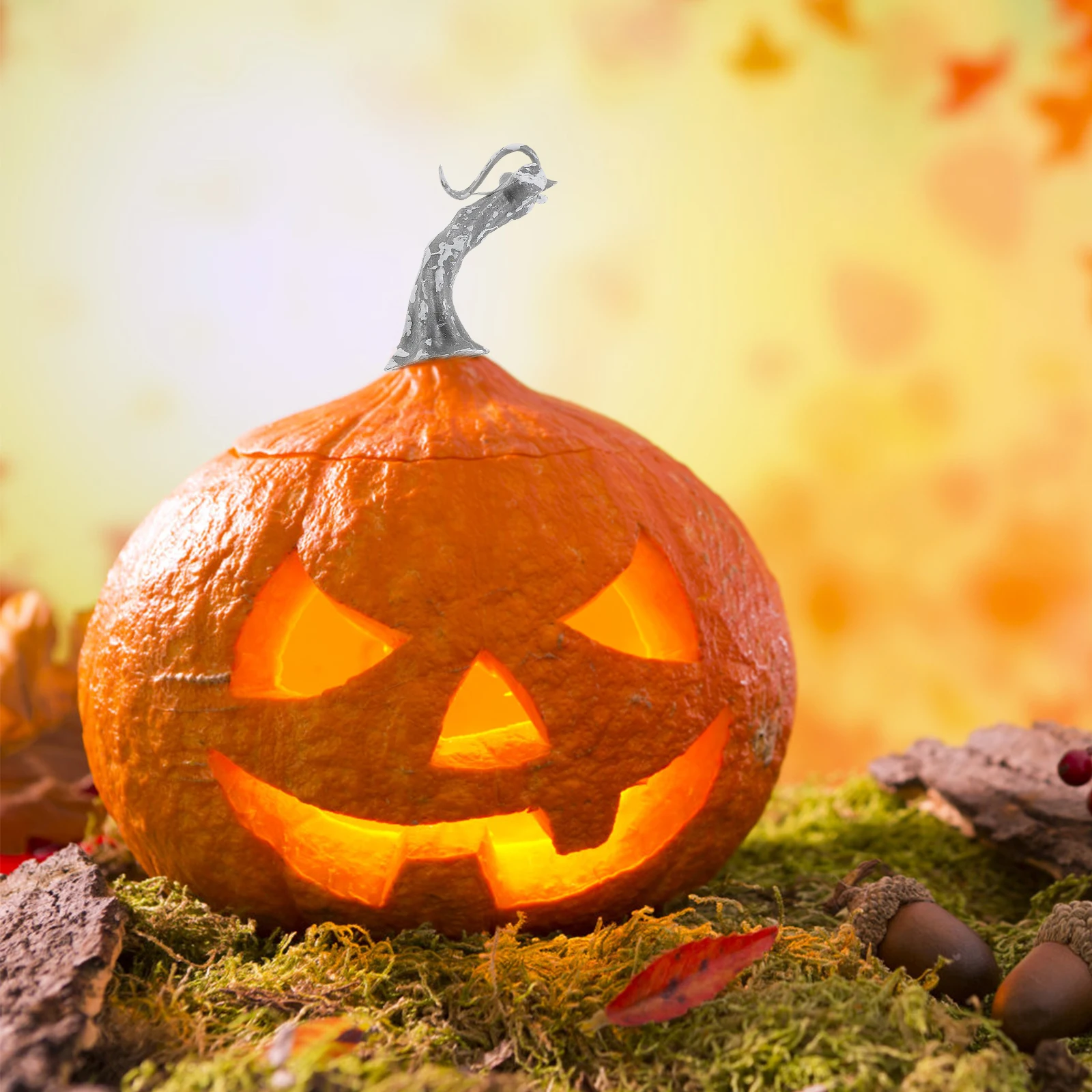 24pcs Plastic Accessories Halloween Decor for DIY Pumpkin Stem Crafts Halloween Harvest Decor Fake Fruit Parts
24pcs Plastic Accessories Halloween Decor for DIY Pumpkin Stem Crafts Halloween Harvest Decor Fake Fruit Parts
