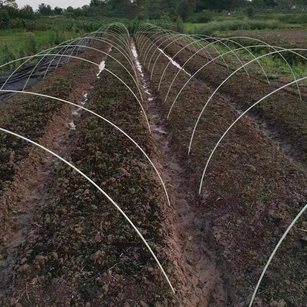 Plant Support Stakes Garden Greenhouse Hoops Tunnel Plants Bracket Grow Glass Fiber for Raised Beds
Plant Support Stakes Garden Greenhouse Hoops Tunnel Plants Bracket Grow Glass Fiber for Raised Beds