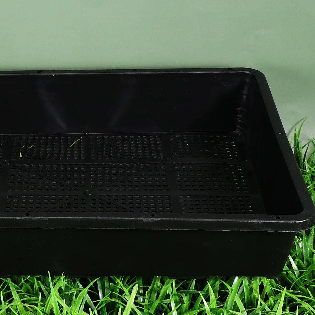 2Pcs Nursery Plate Sprouter Tray Thickened Plastic Grower Tray Seed Sprouting High Budding Rate Suitable Home Balcony Garden
2Pcs Nursery Plate Sprouter Tray Thickened Plastic Grower Tray Seed Sprouting High Budding Rate Suitable Home Balcony Garden