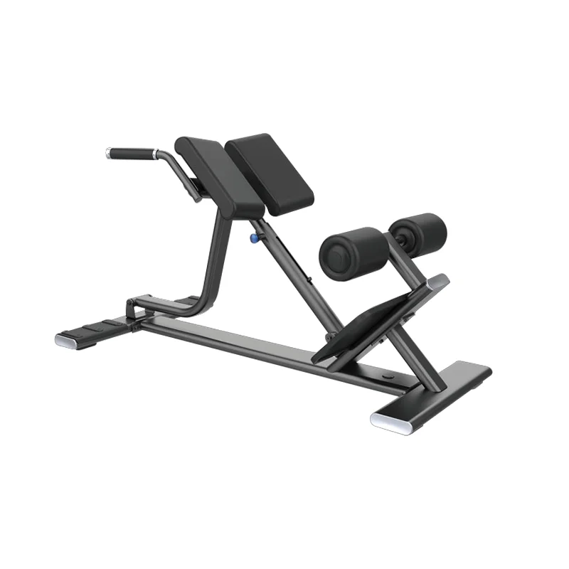 China Manufacturer's Custom Double Bar Roman Chair for Home Use Multifunctional Muscle Training Waist Back Support Metal
China Manufacturer's Custom Double Bar Roman Chair for Home Use Multifunctional Muscle Training Waist Back Support Metal