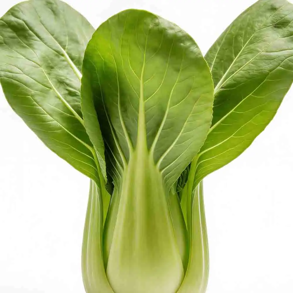 Рама Sub250 Huma20 O3/O4 и другие детали из углеродного волокна FPV Квадрокоптер Вертолет Запасные аксессуары Радиоуправляемые инструменты
Рама Sub250 Huma20 O3/O4 и другие детали из углеродного волокна FPV Квадрокоптер Вертолет Запасные аксессуары Радиоуправляемые инструменты