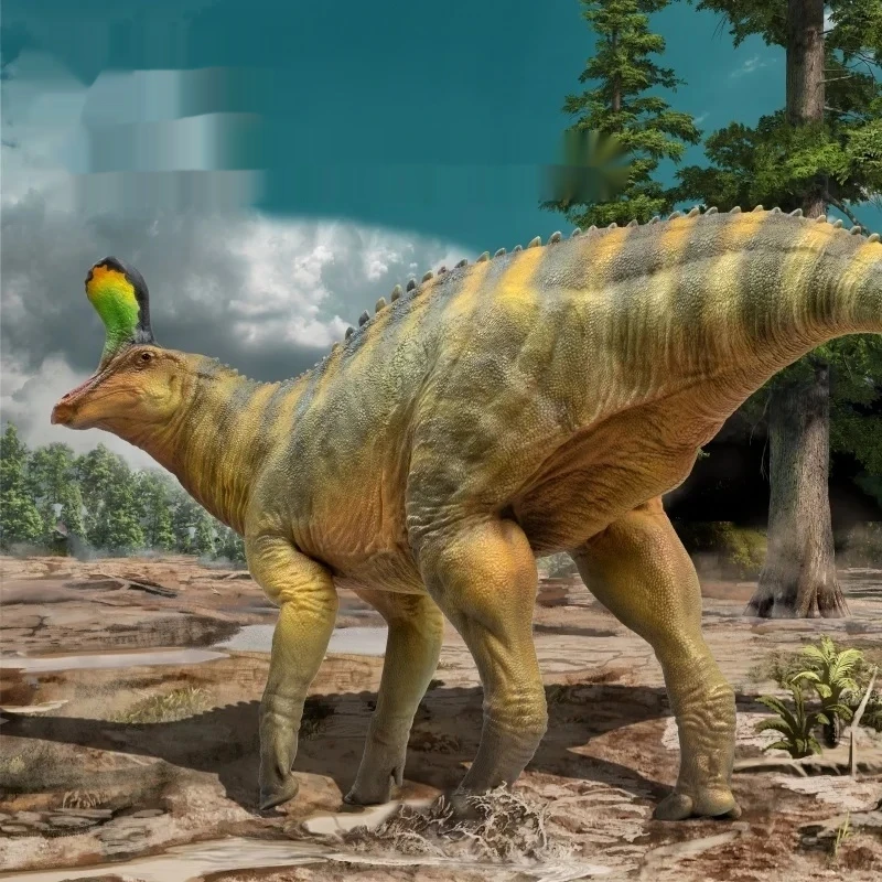 Qingdao Dragon Xiaoqin Dinosaur Museum 1:35 Scale Science Art Model High-Quality Desktop Decorations for Dinosaur Collectors
Qingdao Dragon Xiaoqin Dinosaur Museum 1:35 Scale Science Art Model High-Quality Desktop Decorations for Dinosaur Collectors