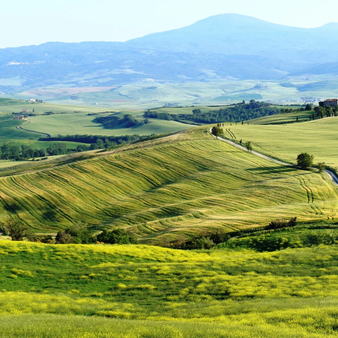 21 "QLED двойной экран 8 + 256 ГБ Android 13.0 для Audi Q5 2009-2017 автомобильная GPS-навигация авто радио стерео мультимедийная головка CarPlay
21 "QLED двойной экран 8 + 256 ГБ Android 13.0 для Audi Q5 2009-2017 автомобильная GPS-навигация авто радио стерео мультимедийная головка CarPlay