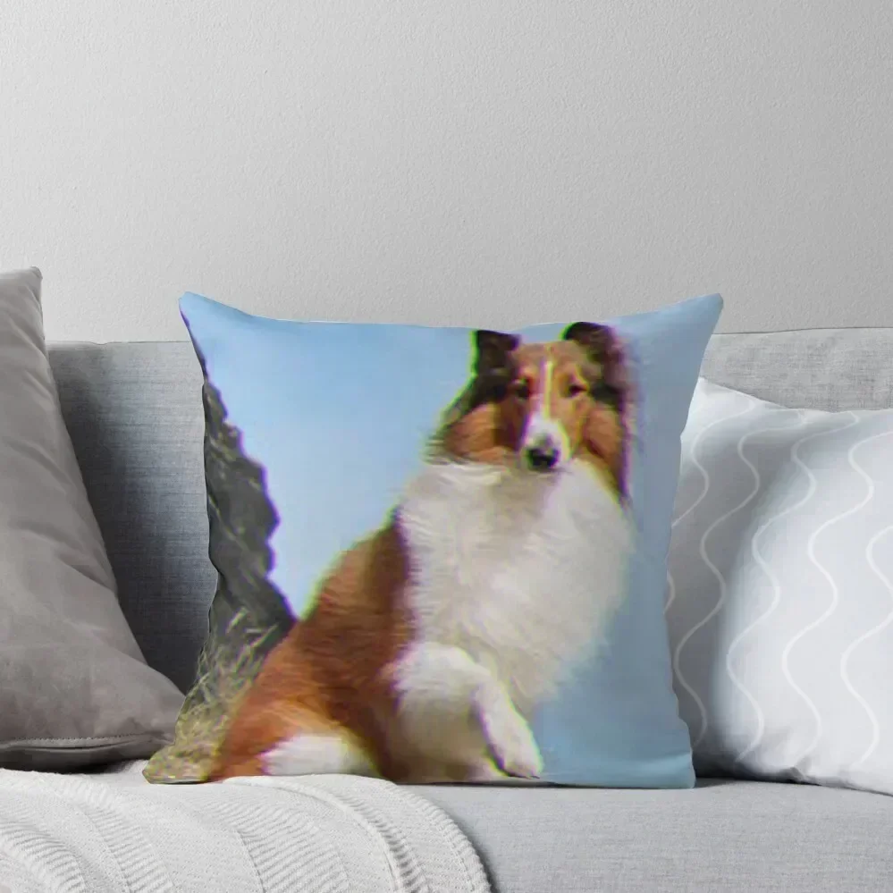 Lassie Throw Pillow luxury covers Christmas Pillow Cases luxury decor pillows decor home pillow
Lassie Throw Pillow luxury covers Christmas Pillow Cases luxury decor pillows decor home pillow