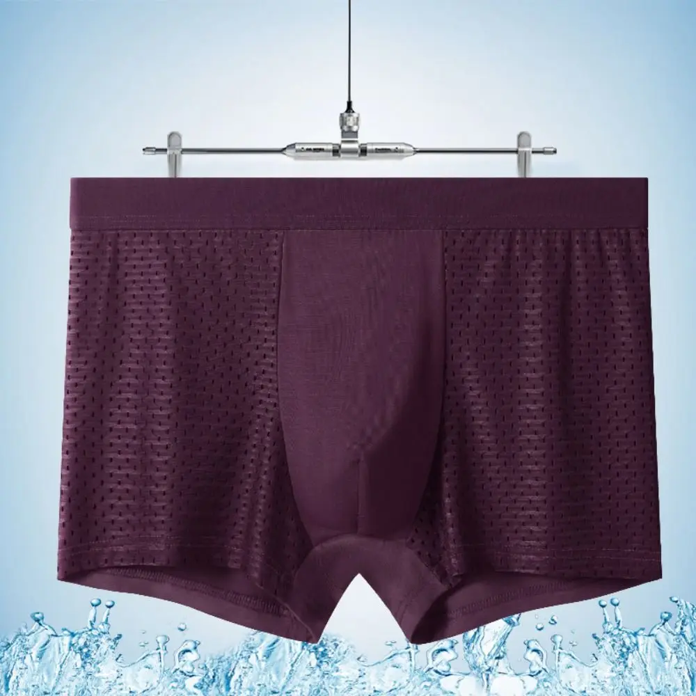 4Pcs Comfortable Modal Men Mesh Boxers Hollow Breathable Seamless Boxer Shorts Lingerie Underpants Underwear for Men Male
4Pcs Comfortable Modal Men Mesh Boxers Hollow Breathable Seamless Boxer Shorts Lingerie Underpants Underwear for Men Male