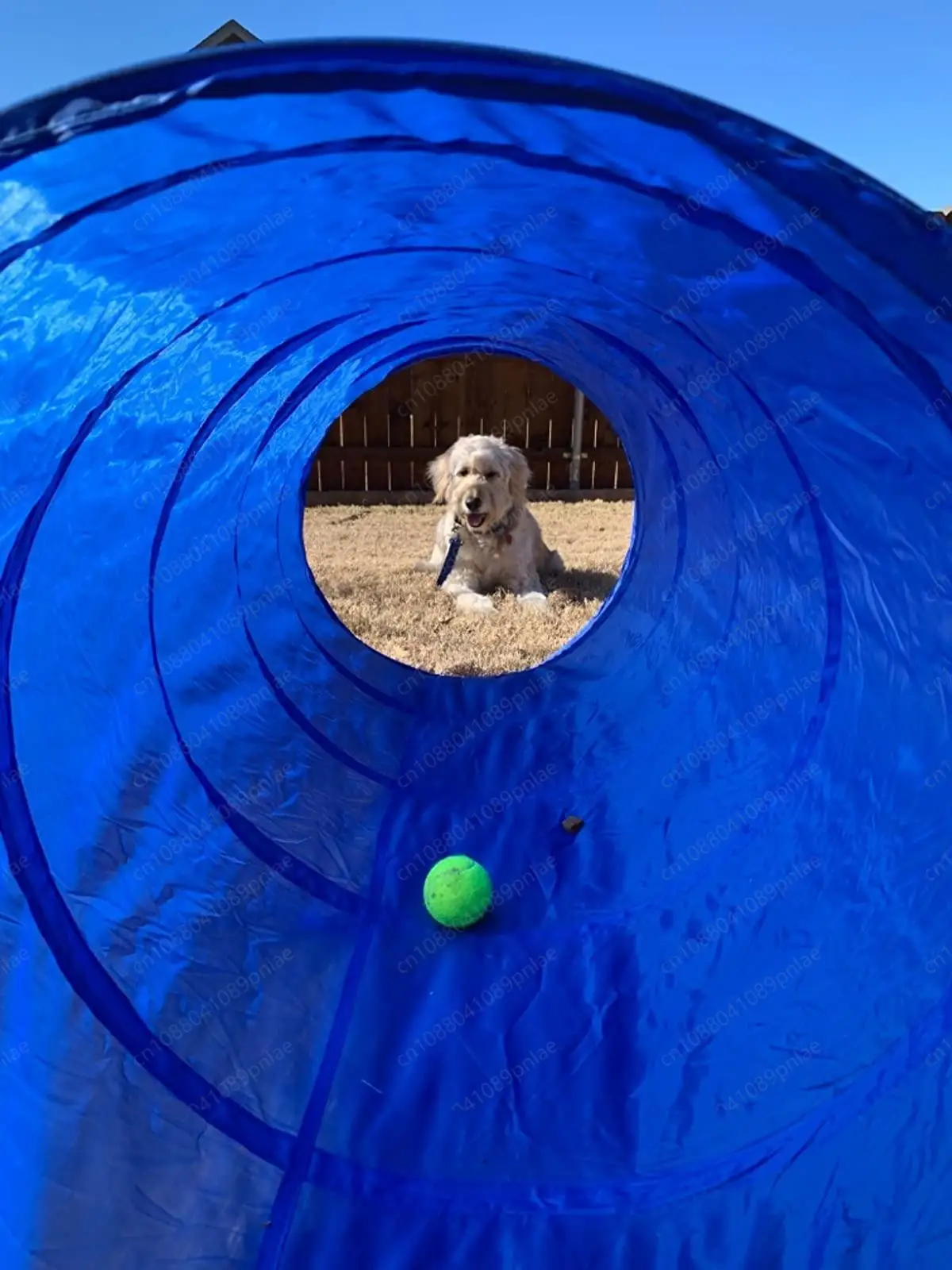 Pet Agility Tunnel 180-500cm Cat Dog Sports Toy
Pet Agility Tunnel 180-500cm Cat Dog Sports Toy