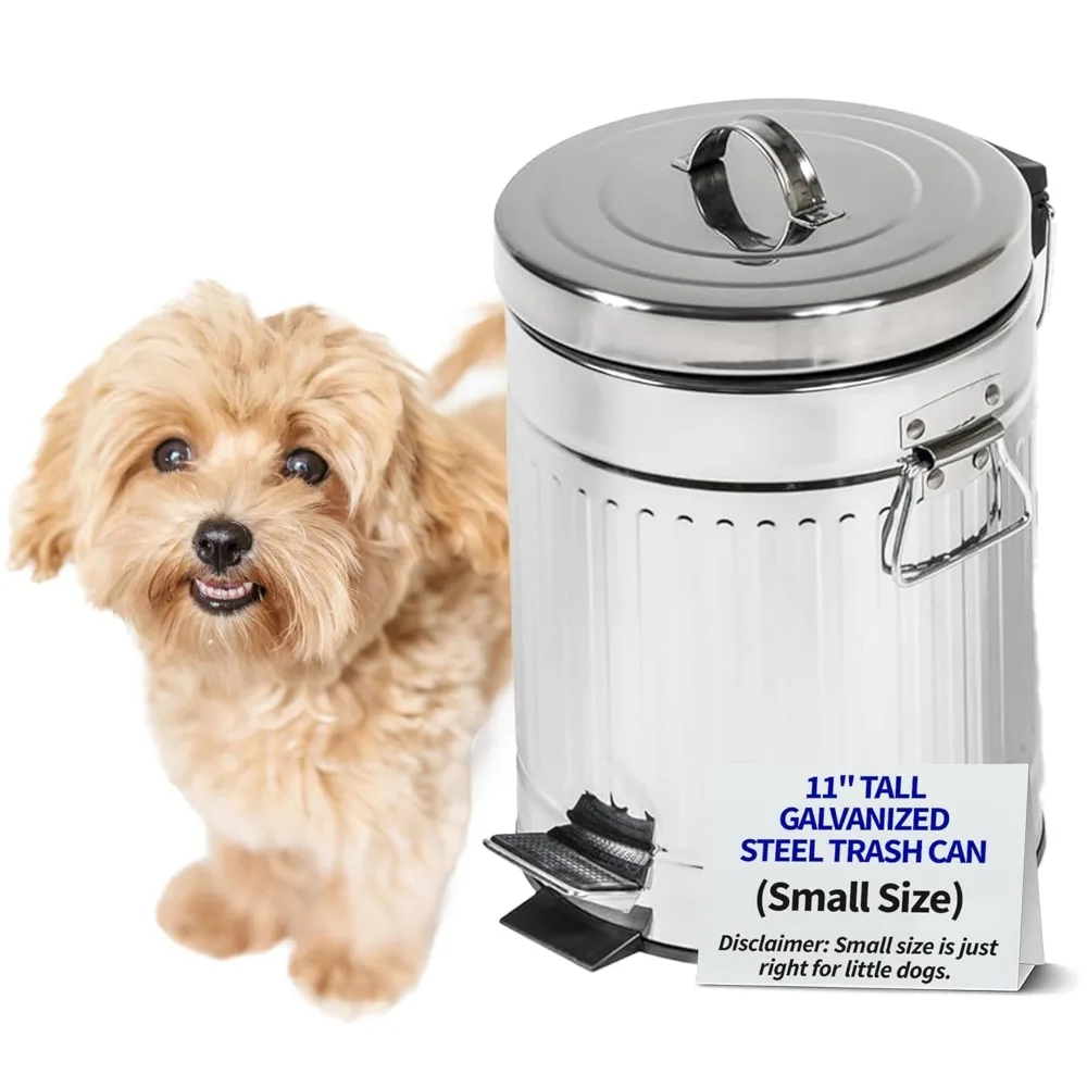 11" Galvanized Steel Pet Waste Can with Step Pedal, Weather-Resistant for Lawn & Yard (5L/1.3 Gallons)
11" Galvanized Steel Pet Waste Can with Step Pedal, Weather-Resistant for Lawn & Yard (5L/1.3 Gallons)