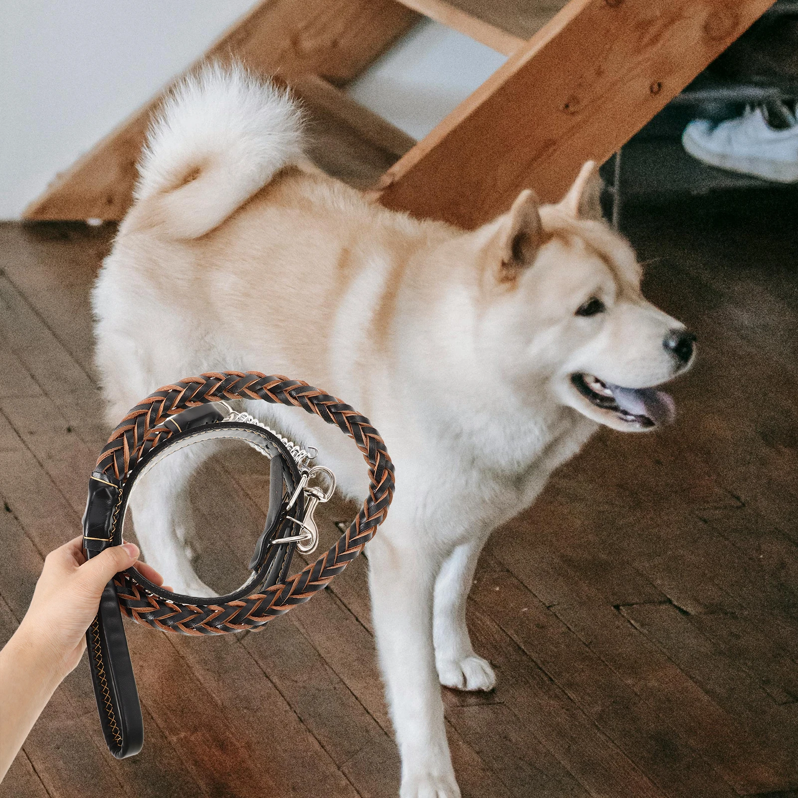 1 set Dog Leash Traction Set Durable Long Rope For Walking Outdoor Adventure Soft Lightweight Pet Collar Leashes Medium Small
1 set Dog Leash Traction Set Durable Long Rope For Walking Outdoor Adventure Soft Lightweight Pet Collar Leashes Medium Small